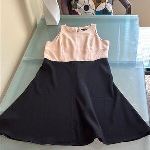 Ann Taylor Dress Ann Taylor Crepe Fit and Flare Sleeveless Dress Size 8